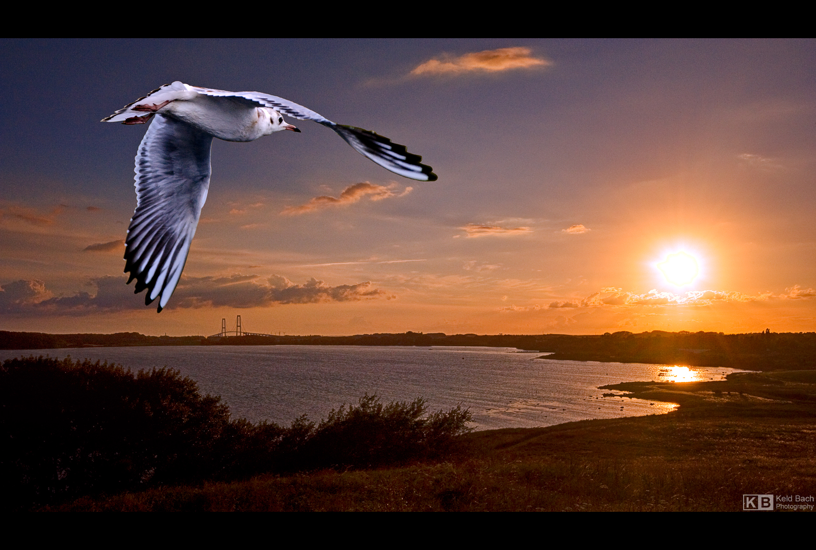 Heading Towards the Sun by KeldBach