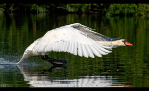Aerodynamics at Work by KeldBach