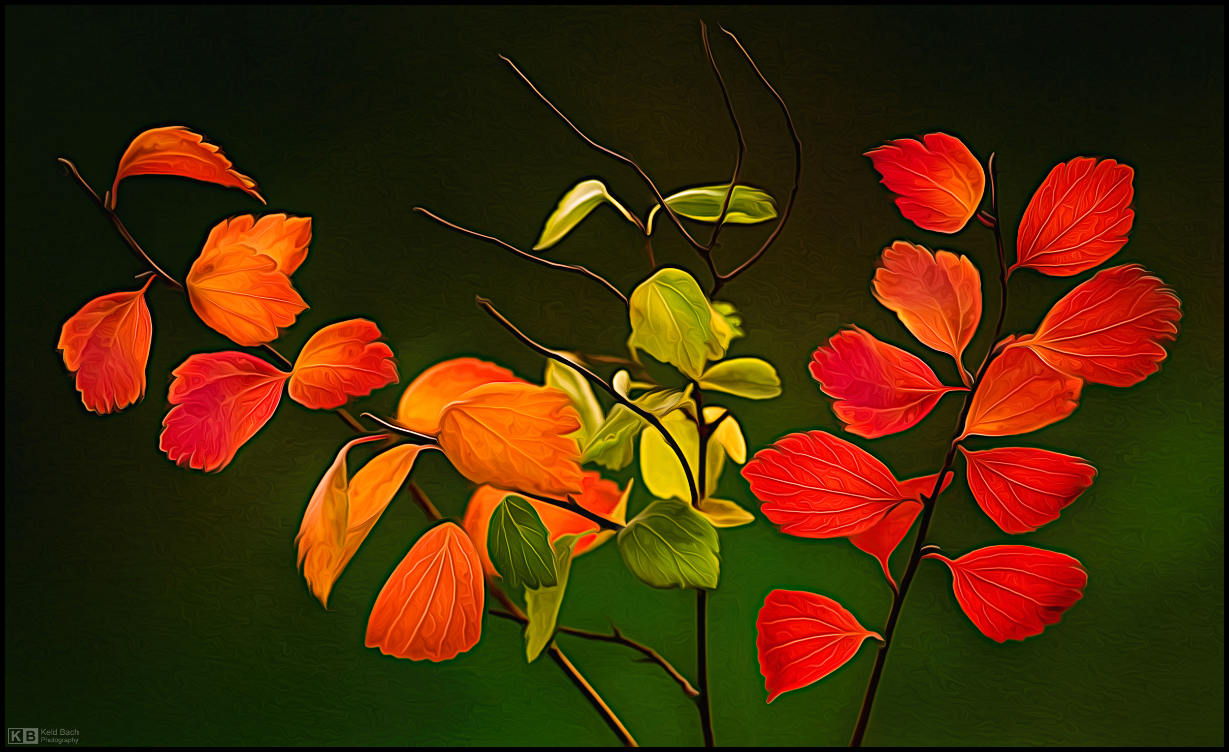 Autumnal Hues