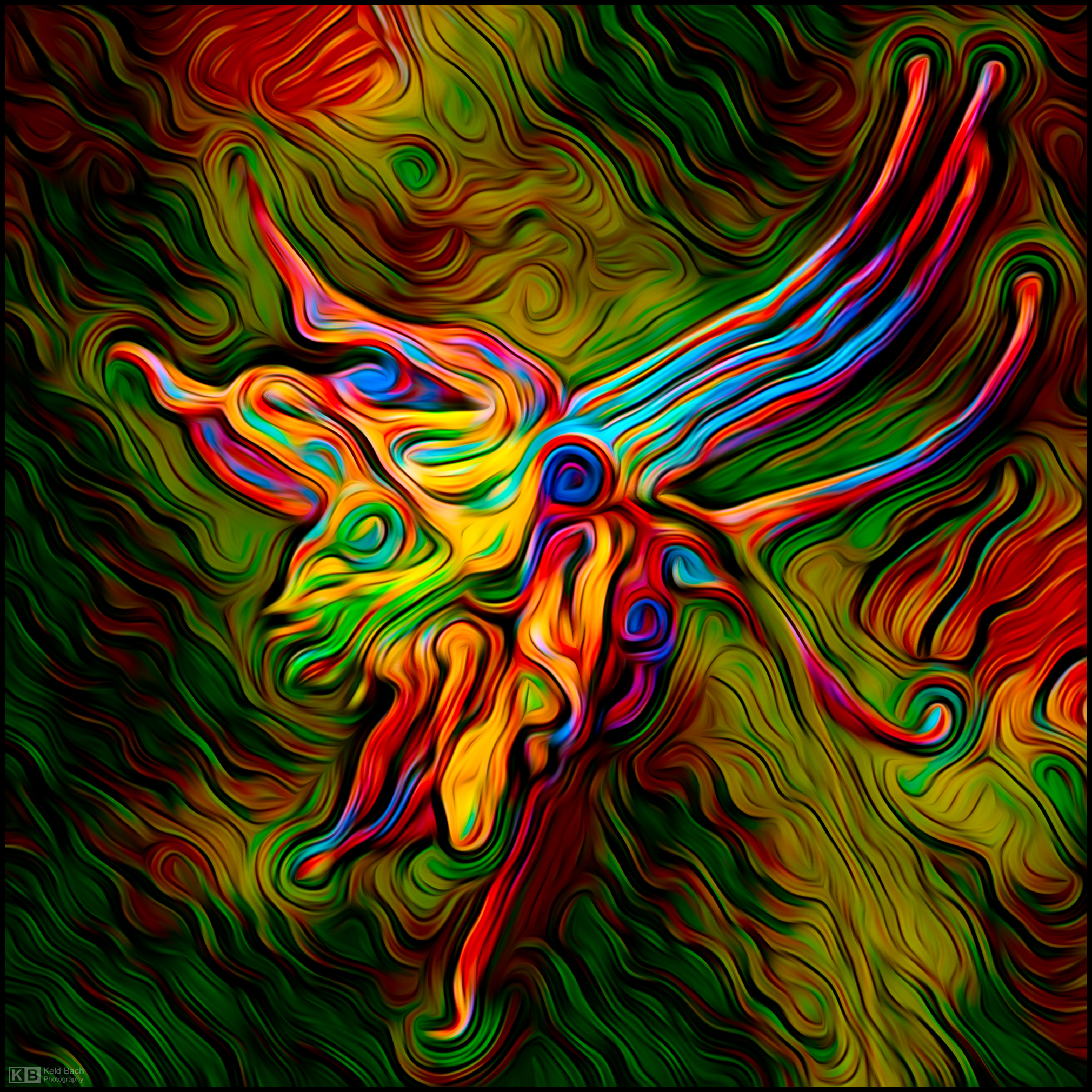 Psychedelic Aquilegia