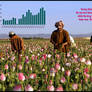 The Great US/NATO Opium Bonanza in Afghanistan