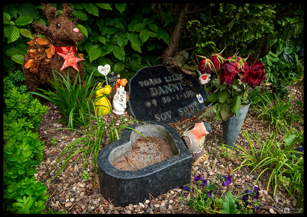 Small Plots for Small People (Danni)