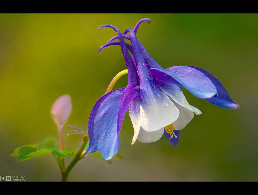 I Feel Pretty by KeldBach