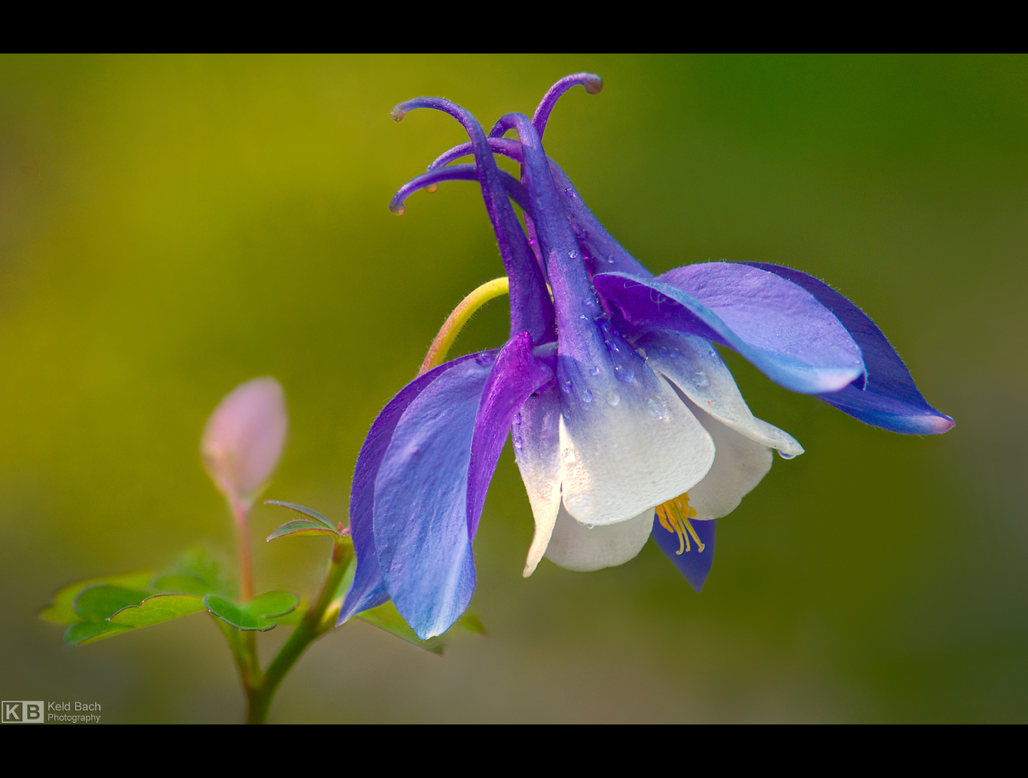I Feel Pretty by KeldBach