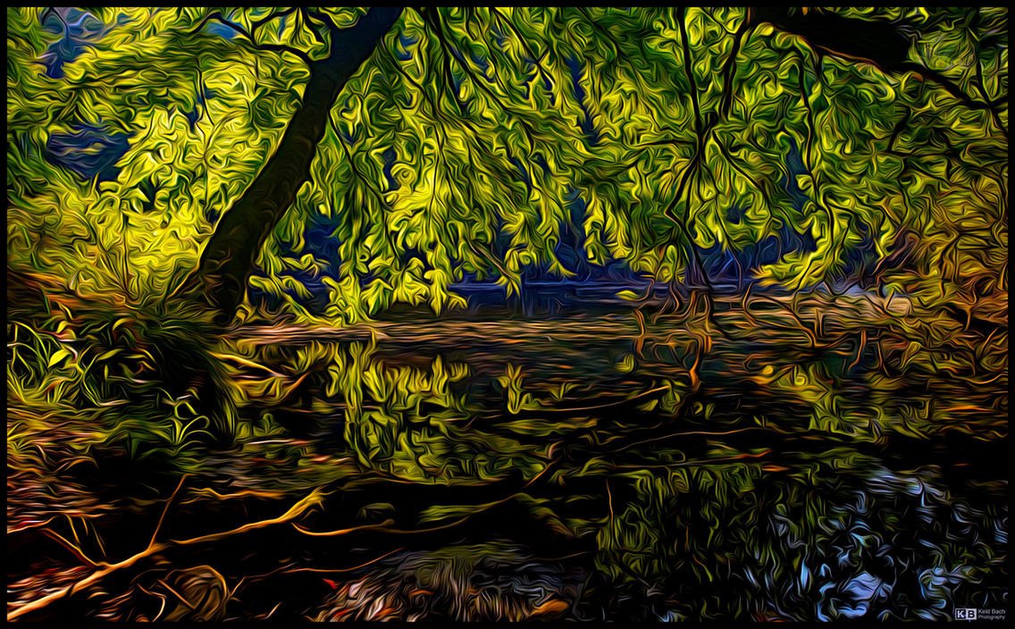 Morning in the Woods