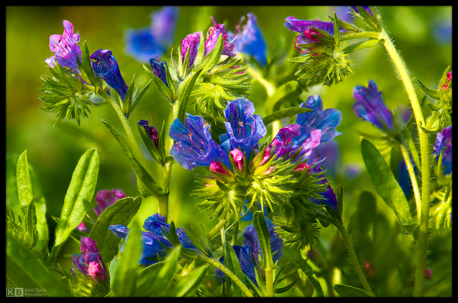 Between the Showers by KeldBach