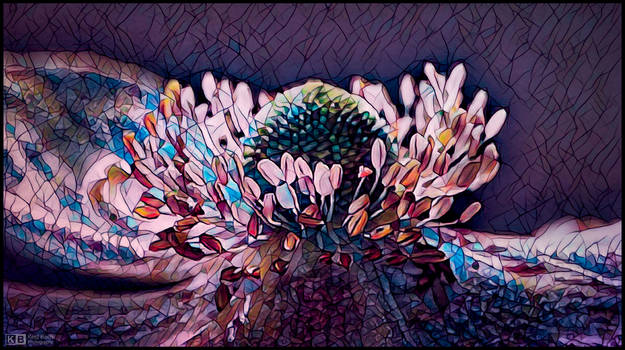 Japanese Anemone in Stained Glass