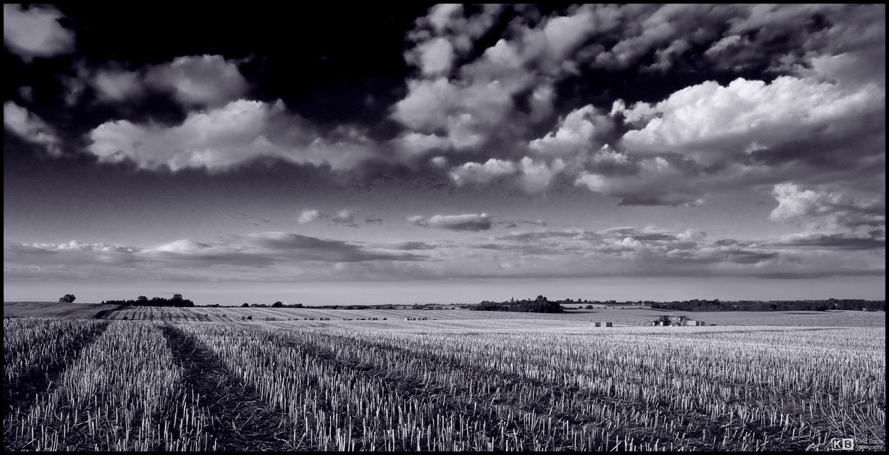 Stubble Field in Mono