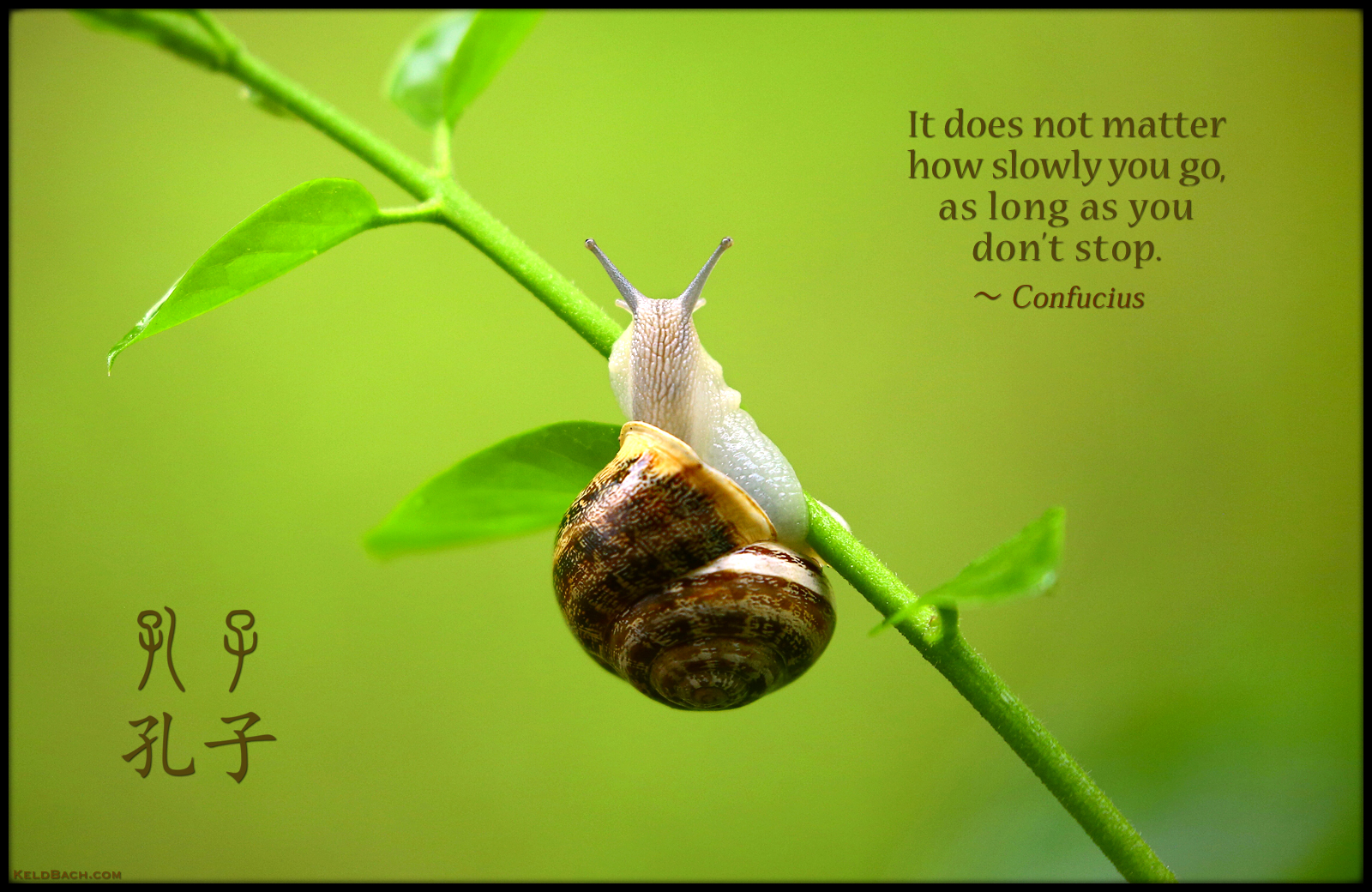 Old Chinese Wisdom