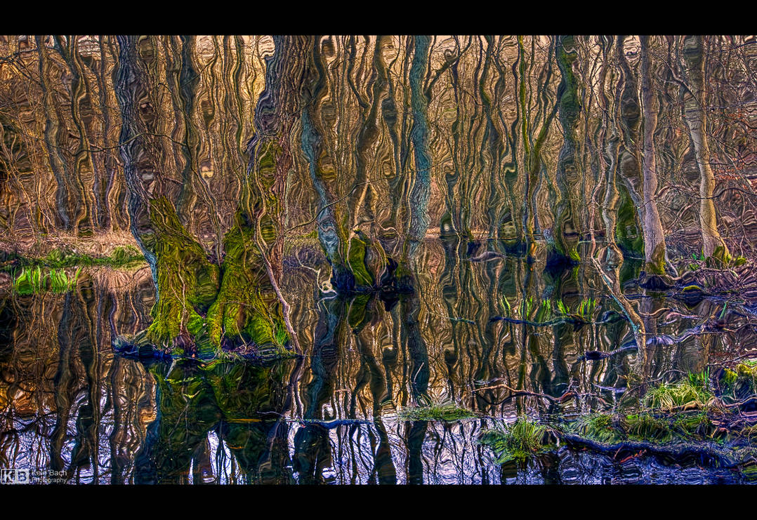 Reality Distorted by KeldBach