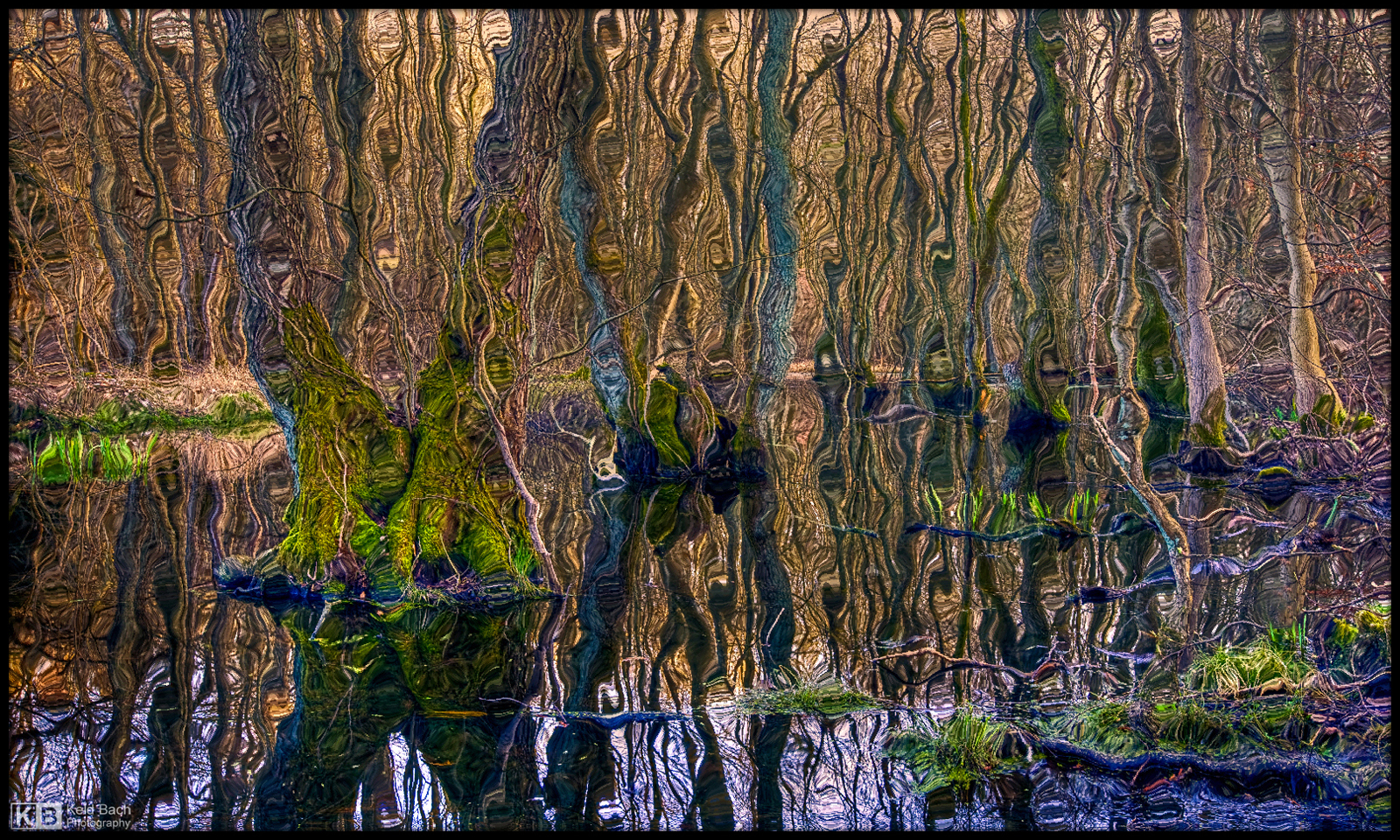 Reality Distorted