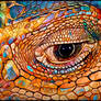 Expressive Iguana Eye