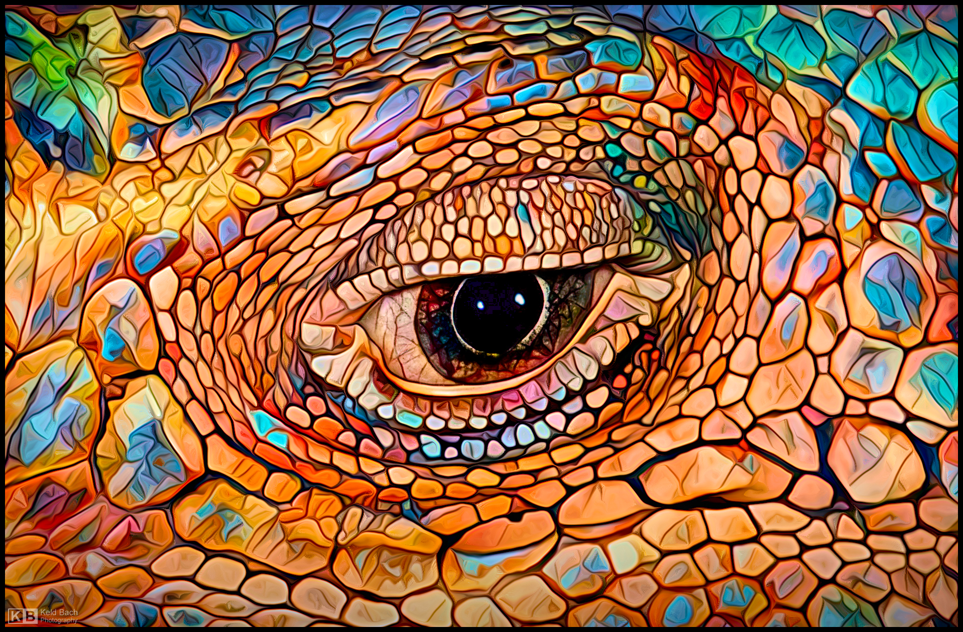Expressive Iguana Eye