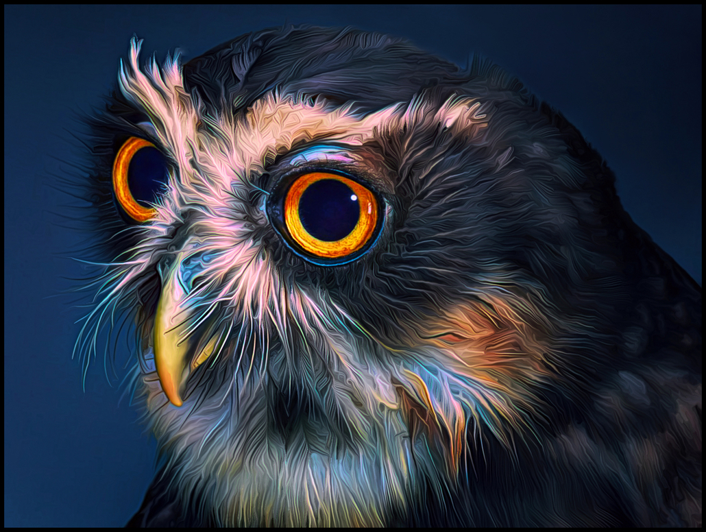 Spectacled Owl