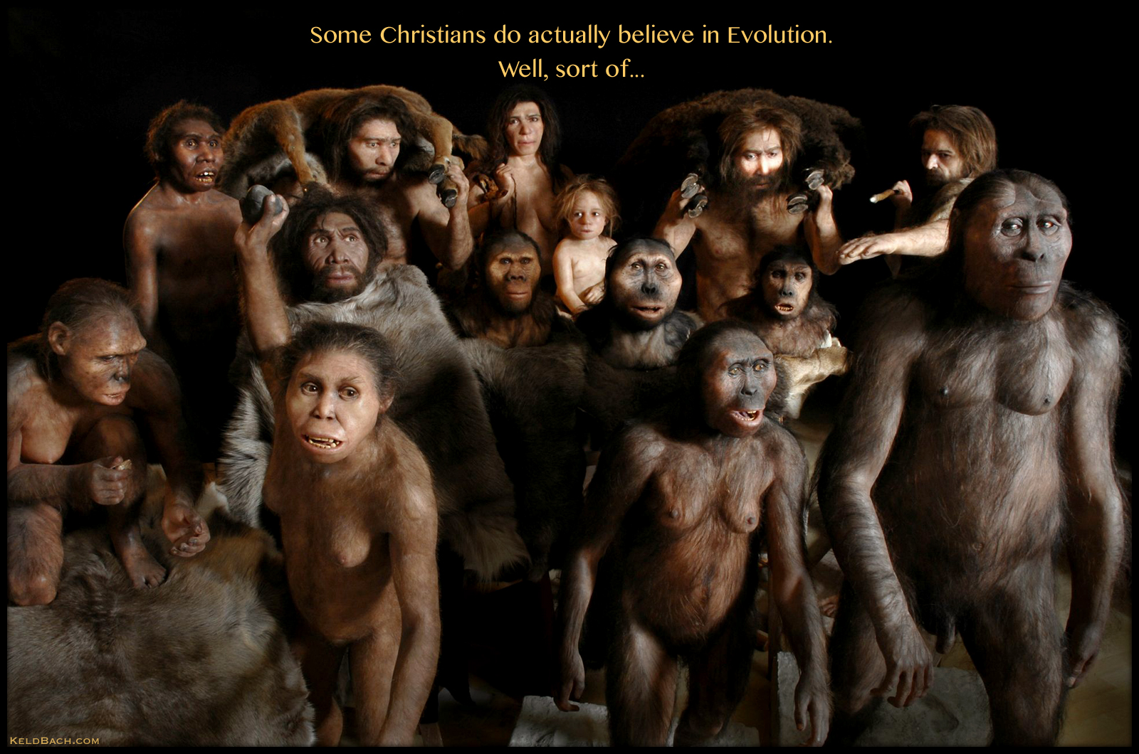 Intelligent Design