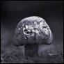 Battered Field Mushroom in Mono