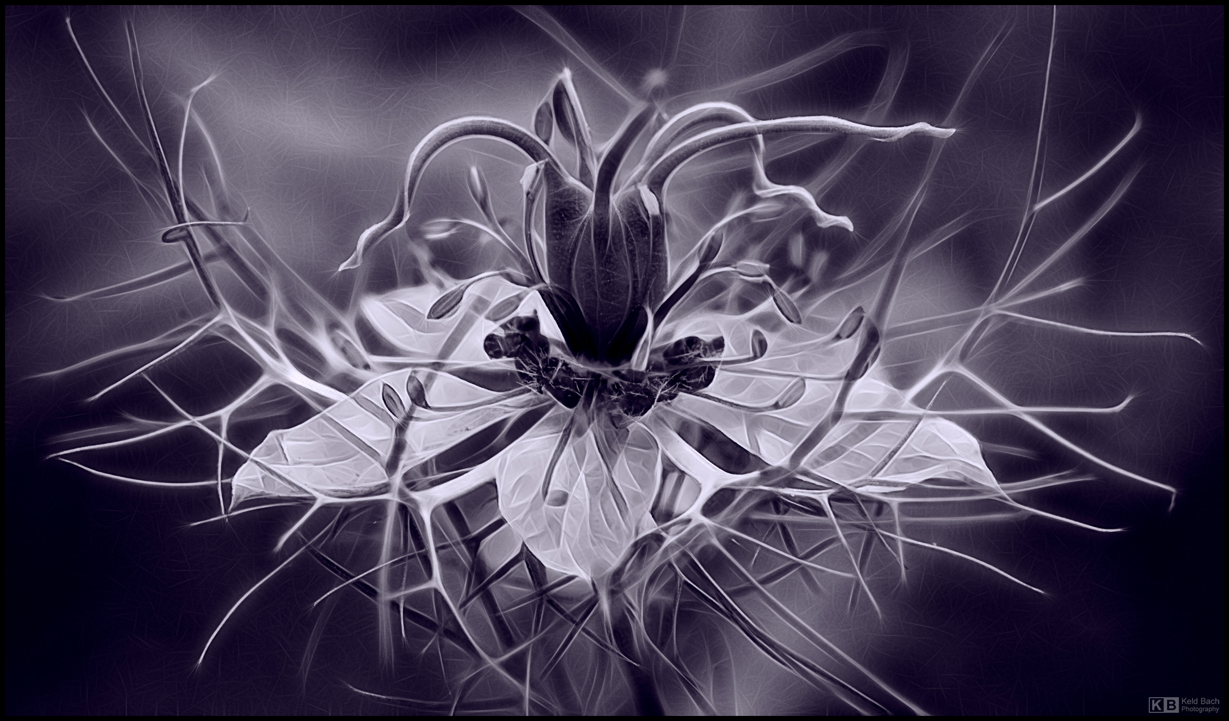 Expressive Persian Jewel in Mono