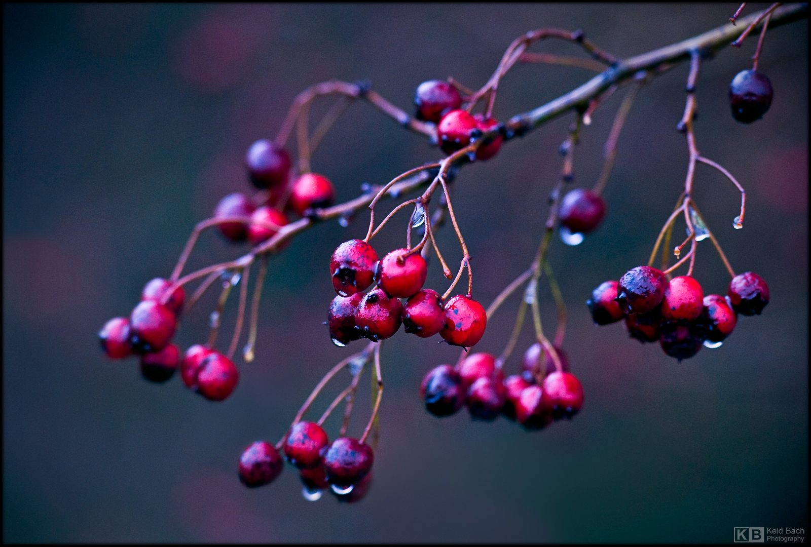 While Waiting for Father Frost