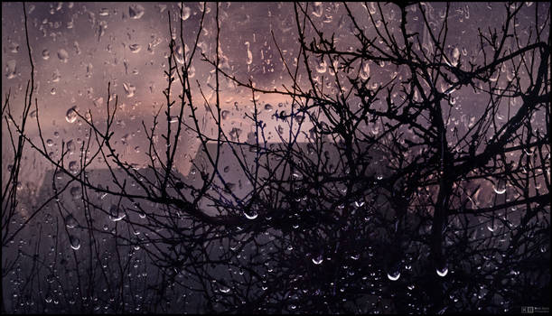 Rainy Winter Morning