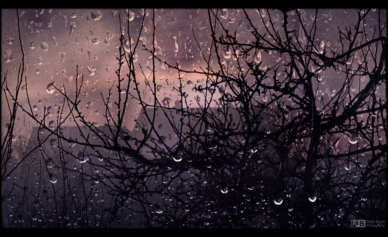 Rainy Winter Morning