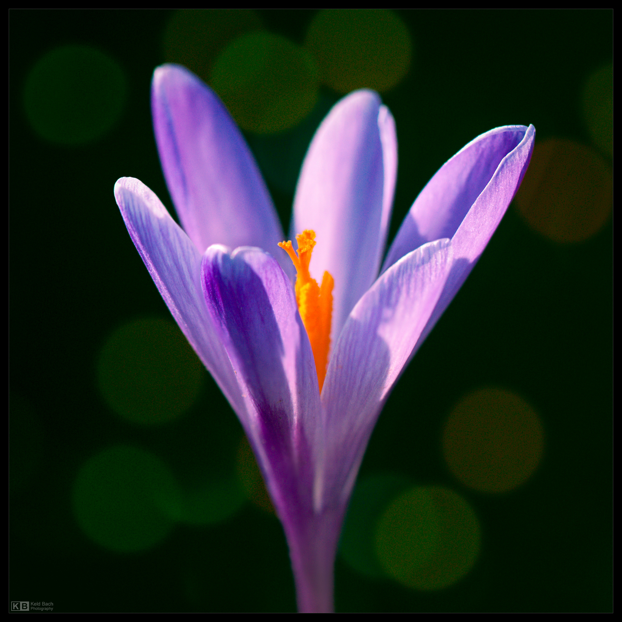 Where Did the Other Ones Go?