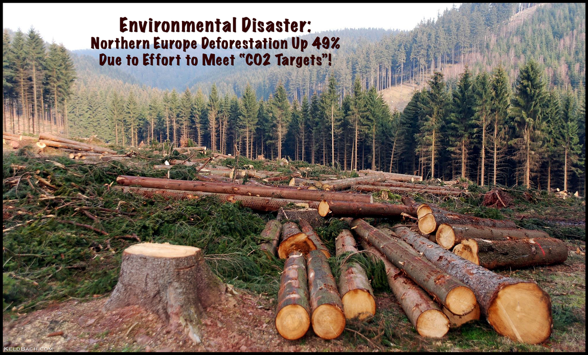 Save the Climate - Sacrifice the Forests