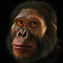 Australopithecus Africanus by John Gurche