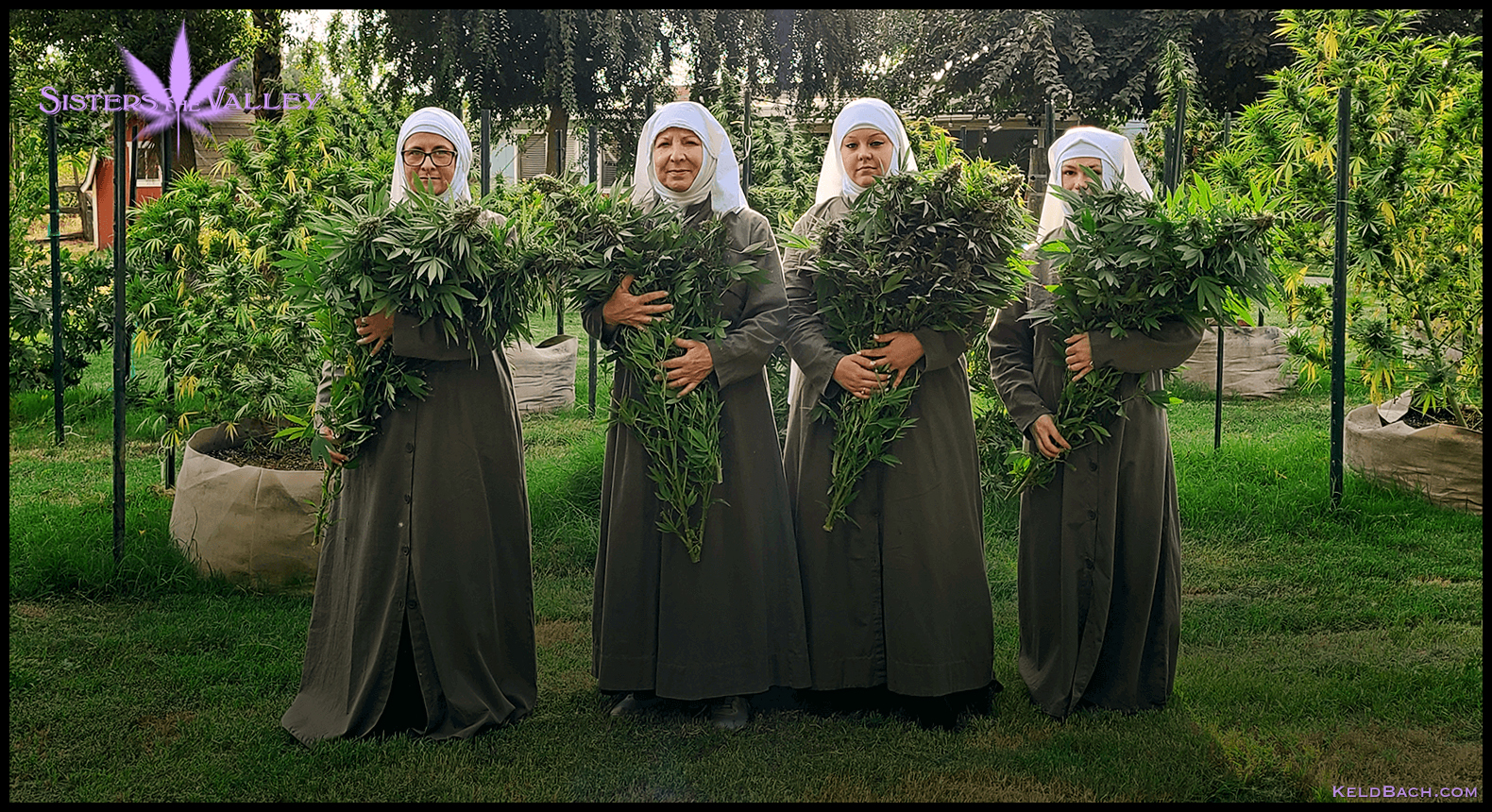 Sisters of the Valley