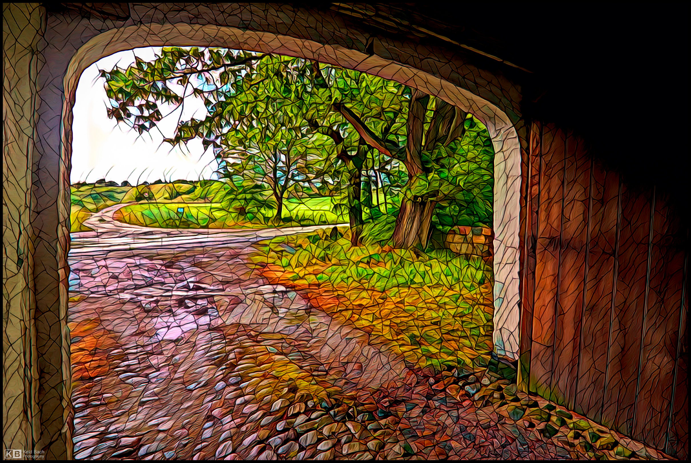 Shelter from the Storm