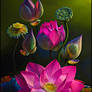 Lotus Still Life