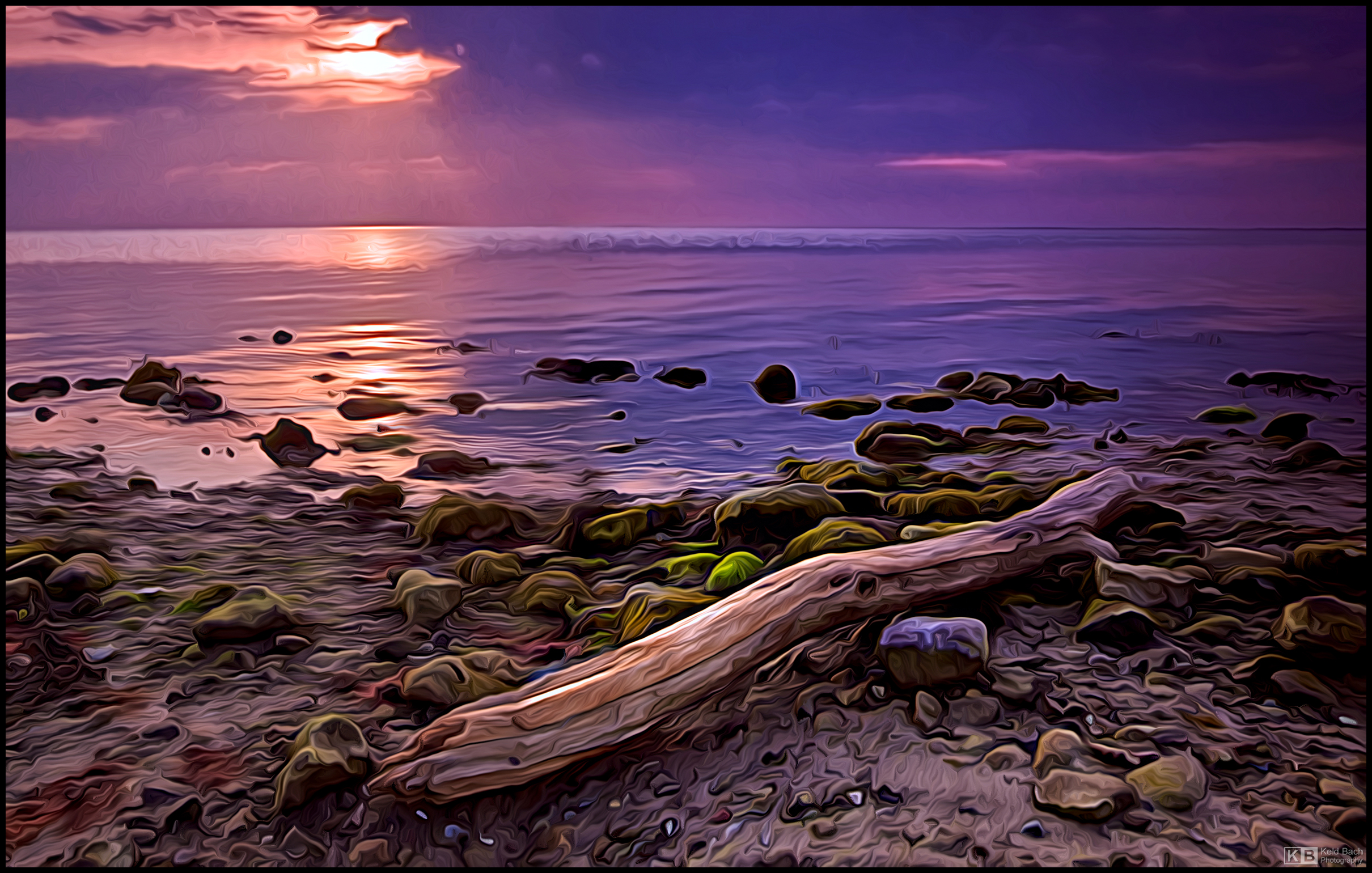 Painterly Driftwood