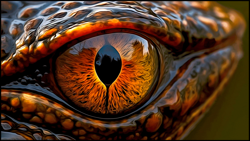 Glowing Eye of a Lizard