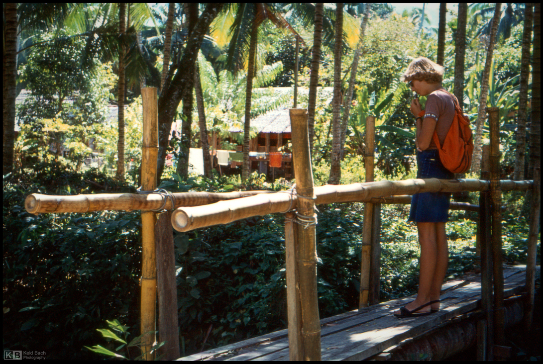 Idyllic Malaysian Village