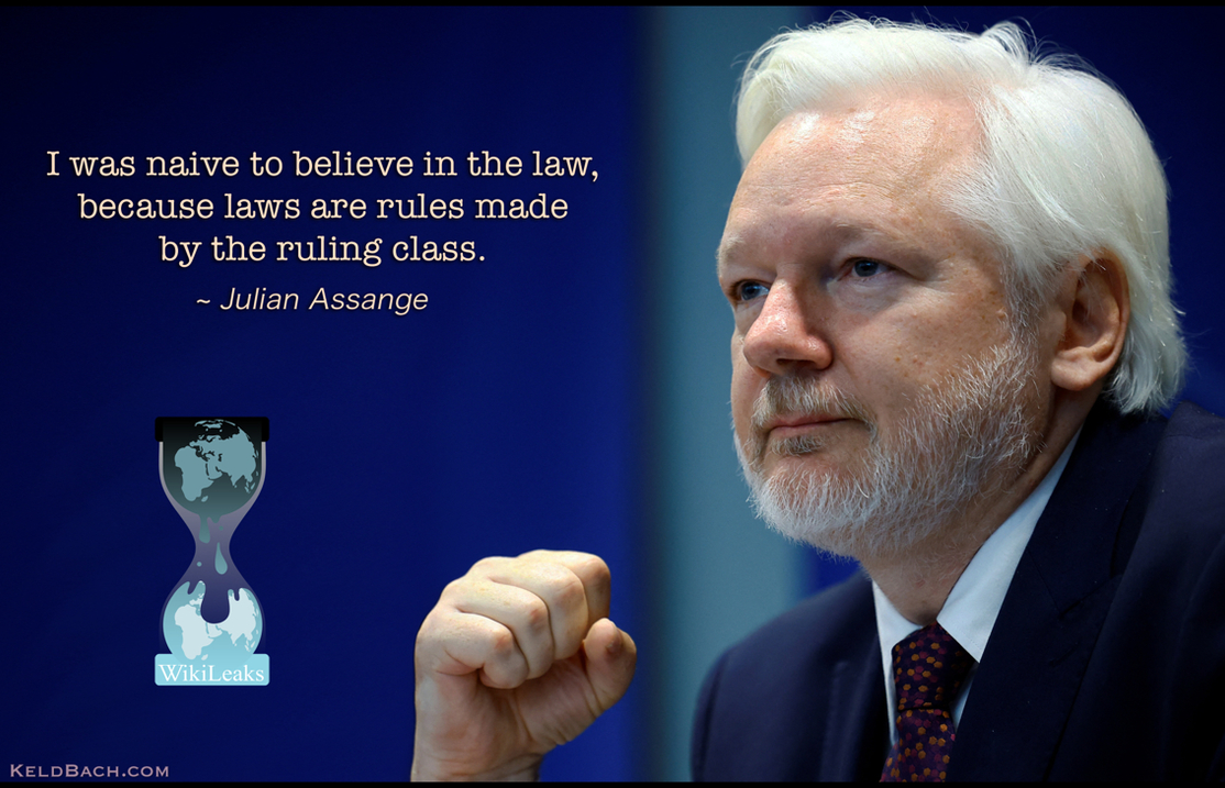 Julian Assange at the PACE