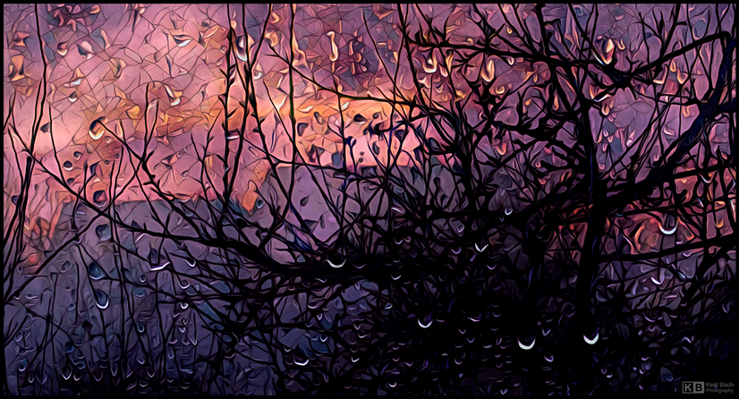 Rainy Winter Morning