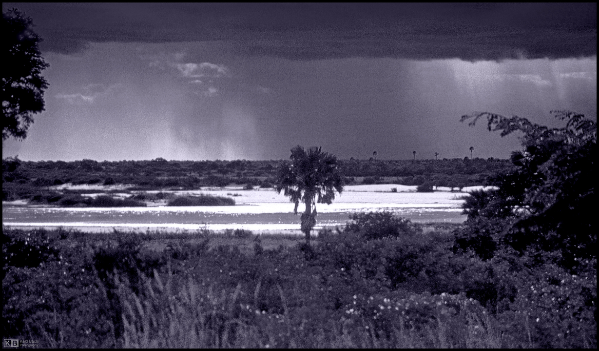 Start of Rainy Season in Mono