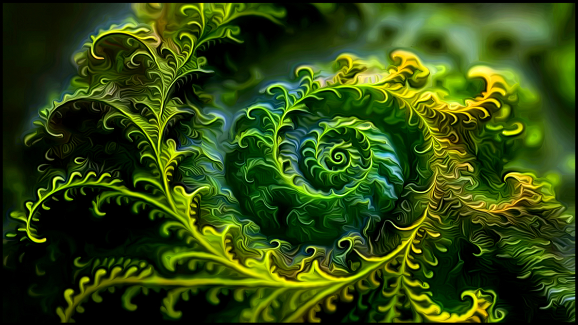 Nature's Own Fractals