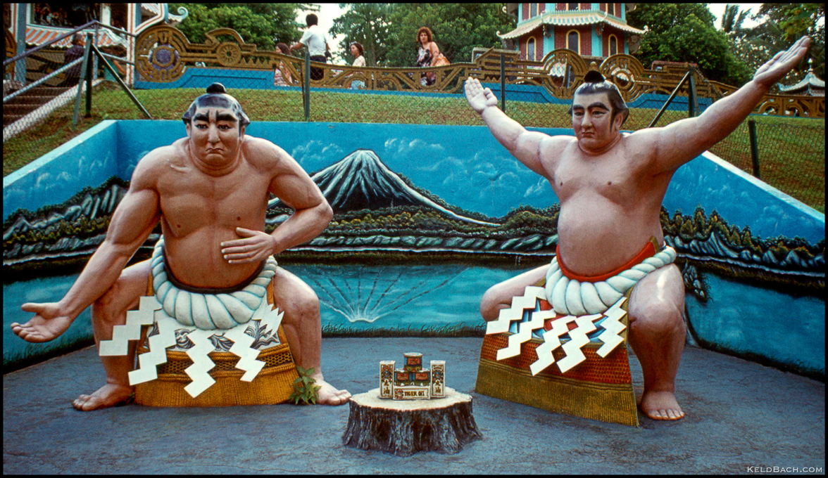 Sumo Wrestlers