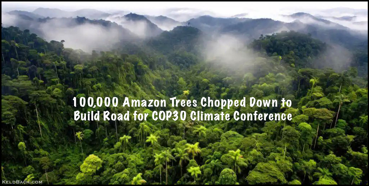 The Highway of Shame to COP30