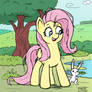 Fluttershy and Angel