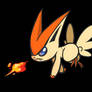 NM 502 - VICTINI