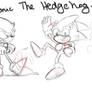 Sonic the Doodlehog