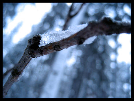 First Snow