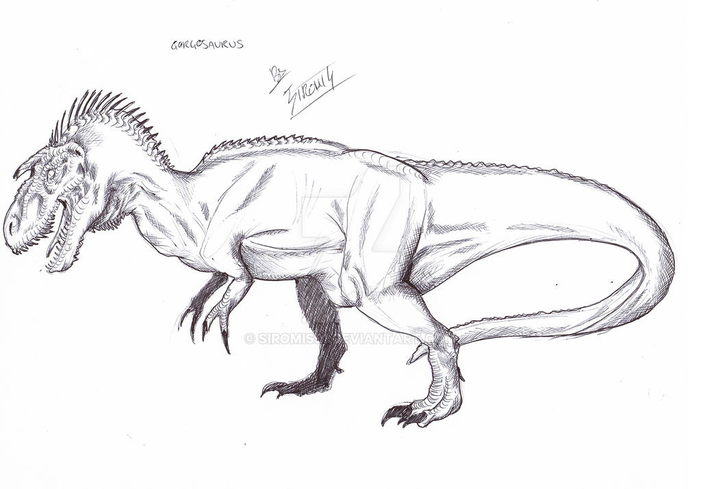 Gorgosaurus by Siromis91 on DeviantArt