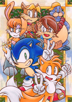 Sonic the Hedgehog : SatAM Freedom Fighters