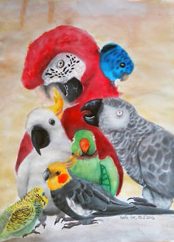 Parrots