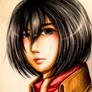 SNK : Mikasa Ackerman