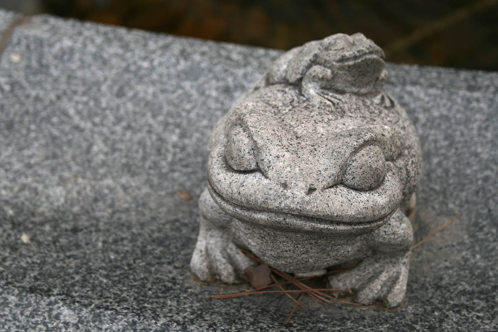 Frog in a temple in Cheongju