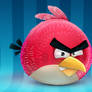 Angry bird!