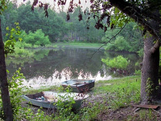 A Pond and Some Trees 2